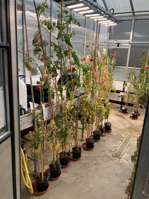 photo-12
