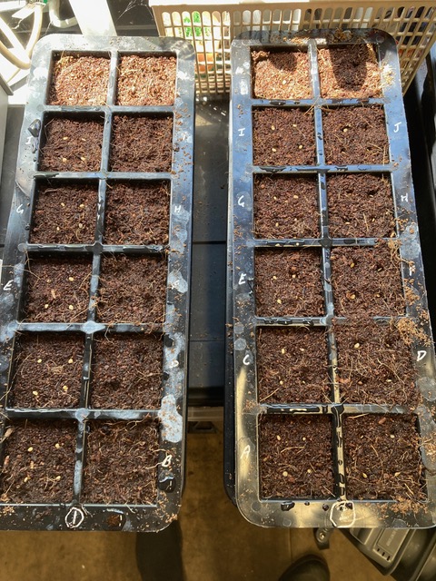 photo-3