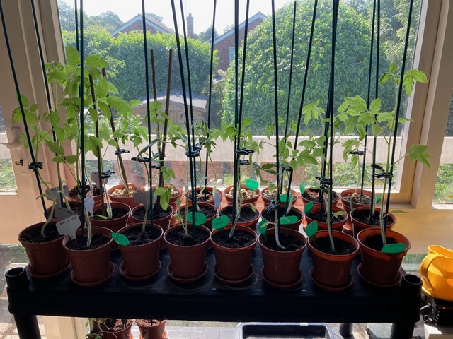 photo-5