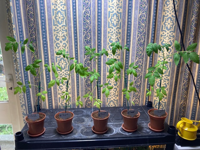 photo-6