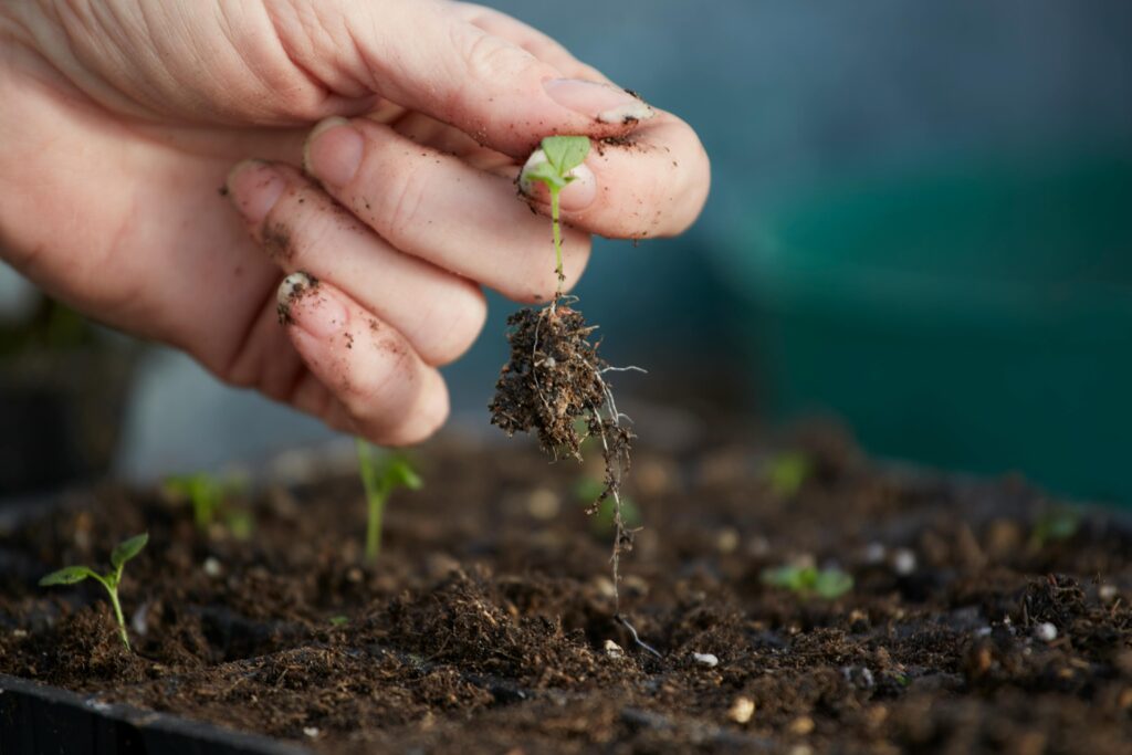 S‑Chelate Plant Nutrition at Glee 2025