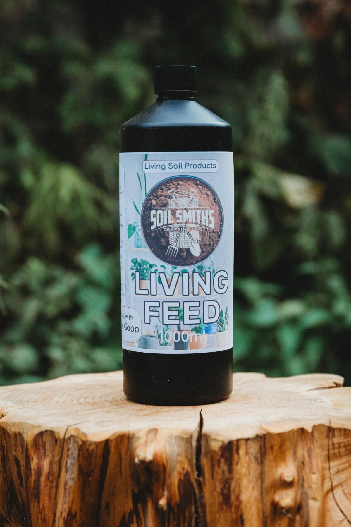Living Feed - Image 1