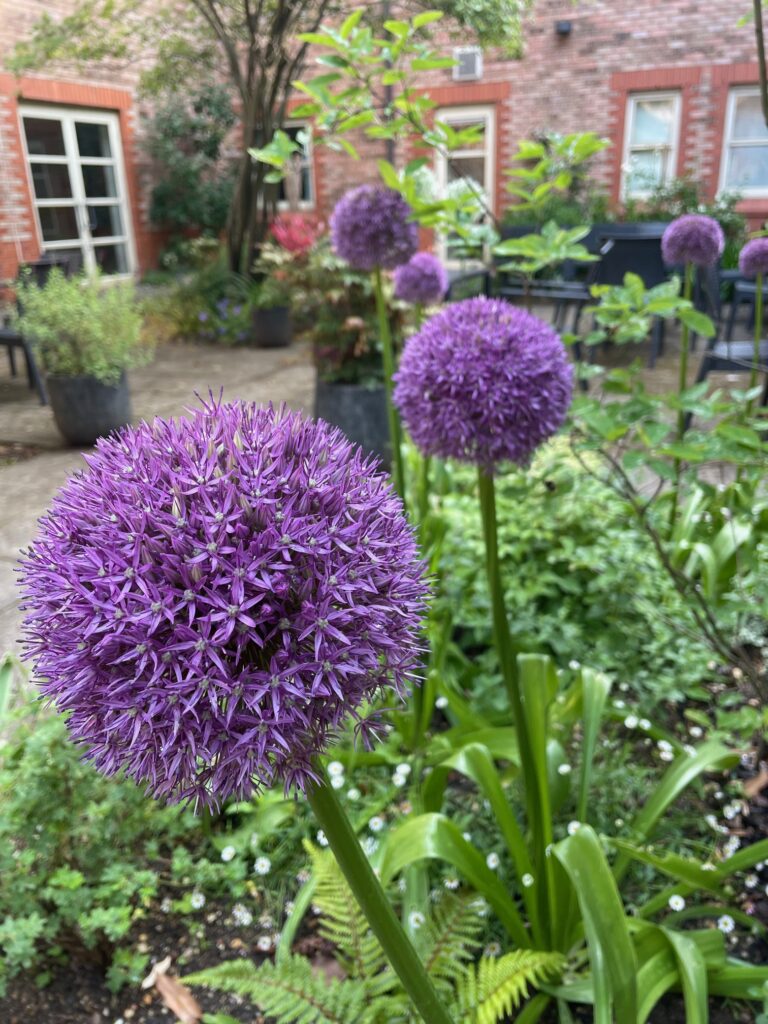 The “Room to Breathe” Garden