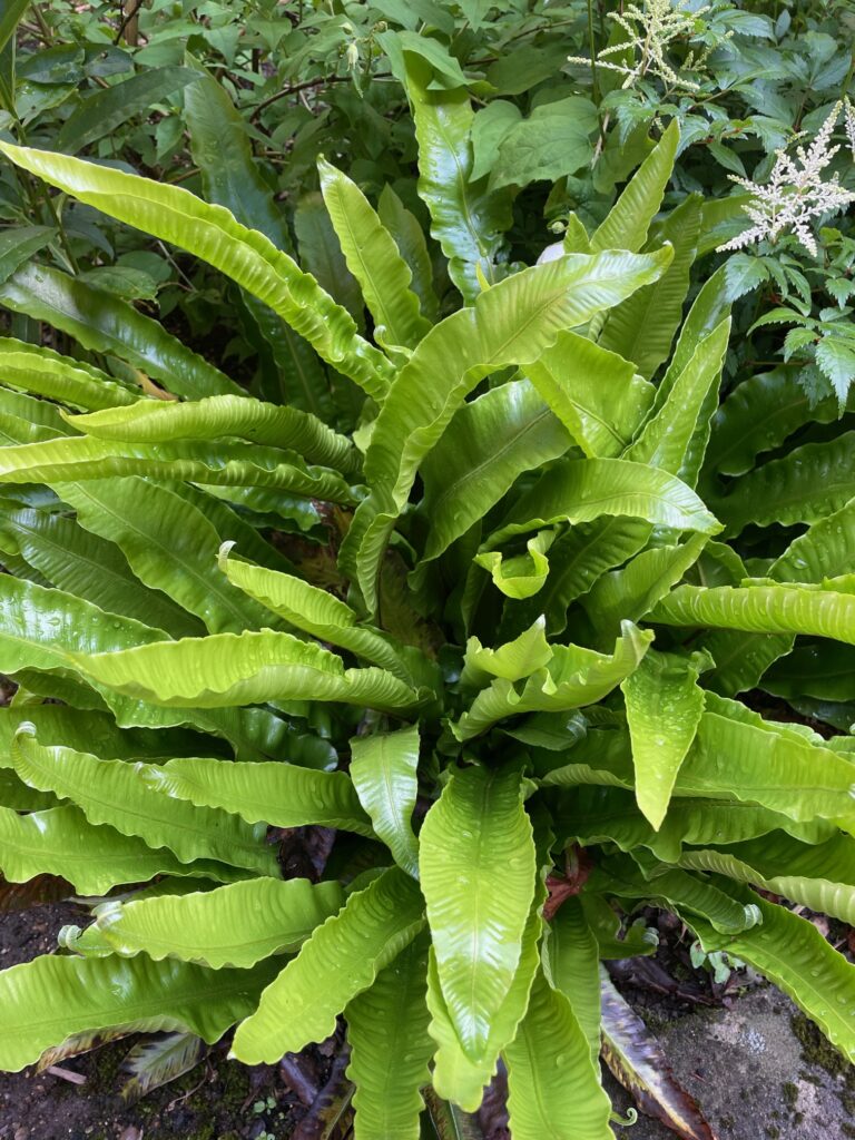 Technology That Makes a Visible Difference