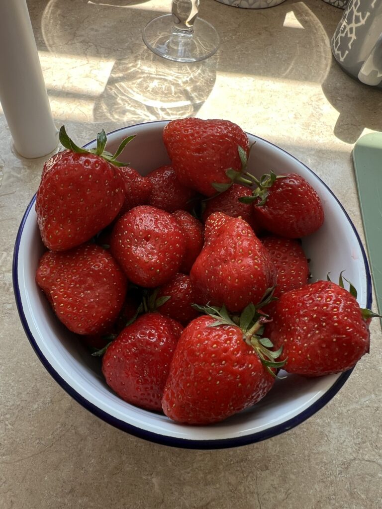 S-Chelate 12 Star strawberries