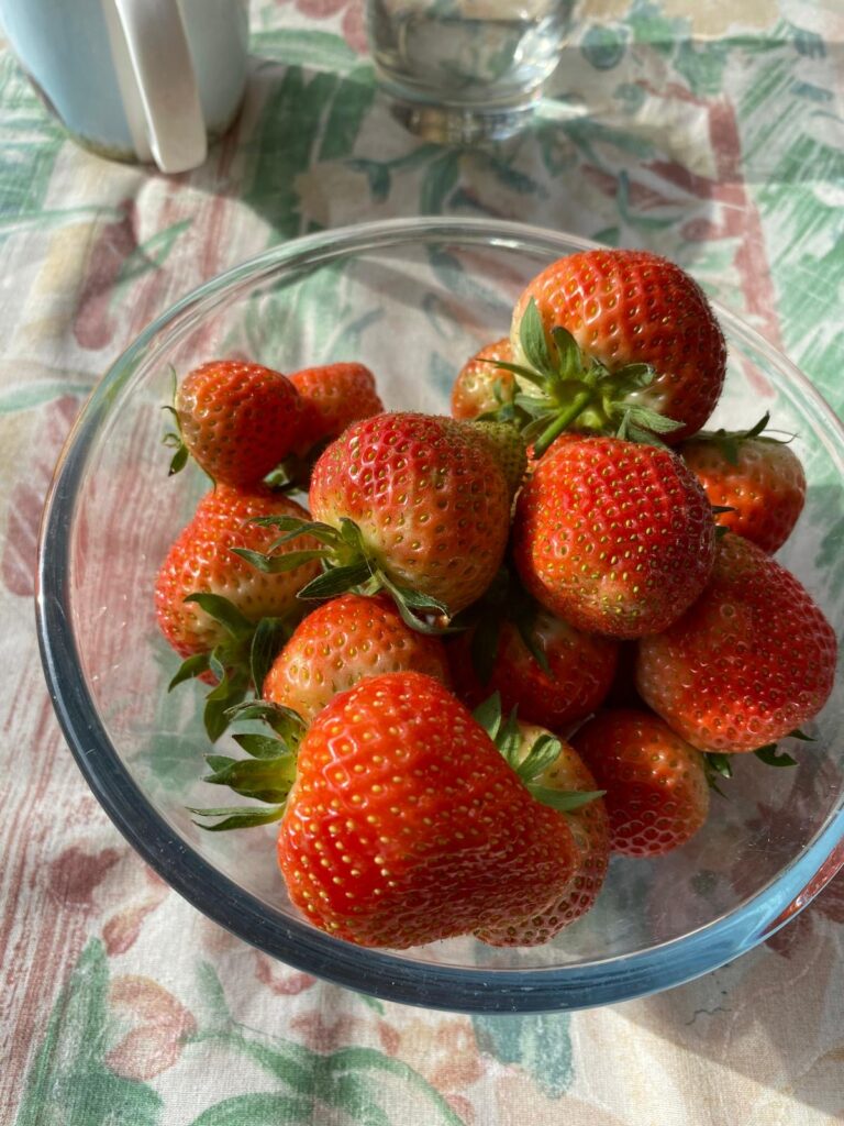 Chelation and Nutrient