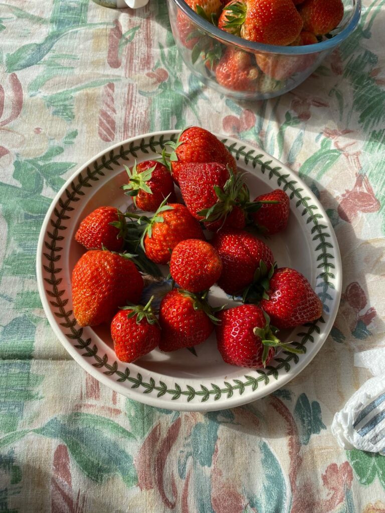 Strawberry Growers