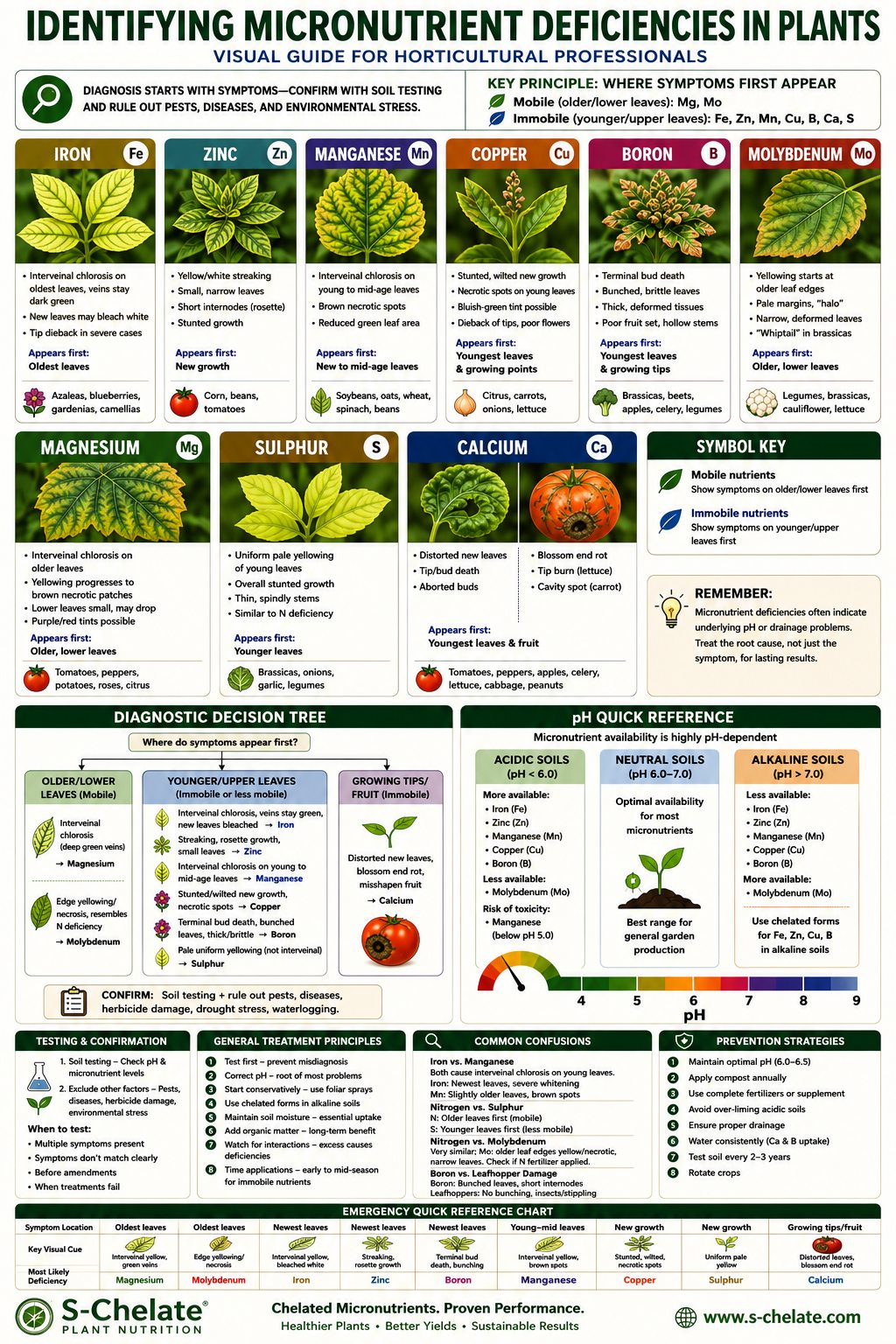Nutrient Deficiencies Identification Guide