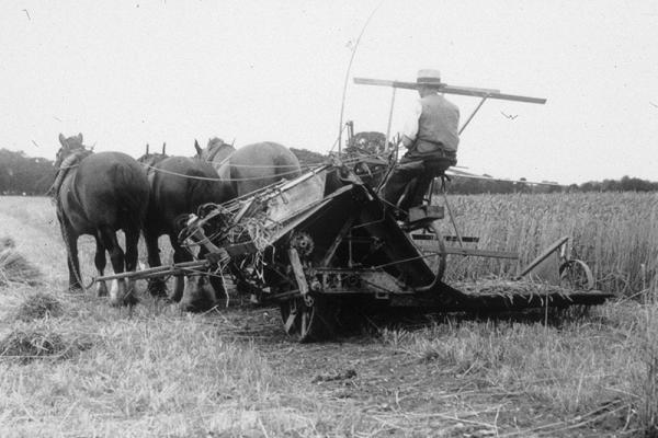 Rothamsted plant trials